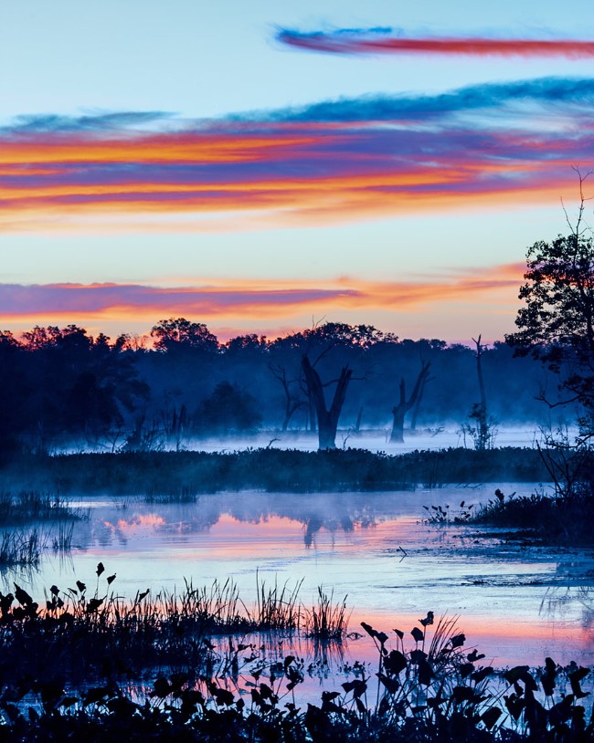 Winter sunrise over the marshes in Brazos Bend State Park in southeast Texas. Gerard Harrison fine art photographer, Houston.