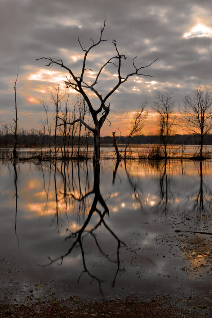 A dead tree stands in the marsh of Brazos Bend, Texas, the sky and its reflection lit by an angry sunset. Gerard Harrison, Houston fine art photographer.